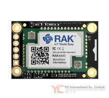RAK4631-04 RUI