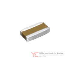 CGBDT1X5R0G105M022BC
