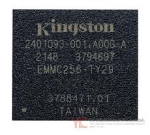 EMMC256-TY29-5B101