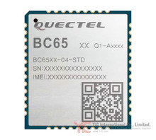 BC65PB-04-STD
