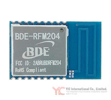 BDE-RFM204-915