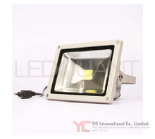 FL-20W-CW