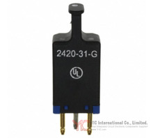 2420-31-G