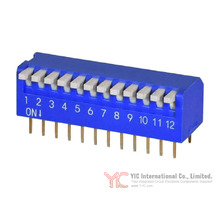 DS02C-254-2L-12BE