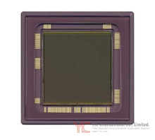 CYIL1SM4000AA-GDC