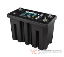 SKELSTART 12V