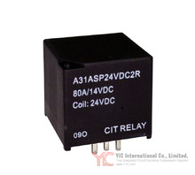 A31ASP24VDC2R