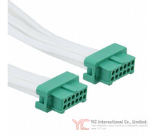 G125-FC11205L0-0300F