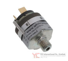 P119G-10H-C12TB-DIS