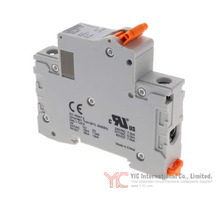 1019917