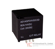 A31ASP24VDC2D