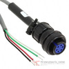 CCARPG25 Image