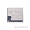 RA-01 Image