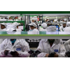 Der Apple-Zulieferer Foxlink wird Ende des Jahres die Massenproduktion in einem neuen Werk in Indien aufnehmen